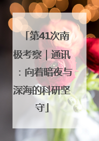 第41次南极考察｜通讯：向着暗夜与深海的科研坚守