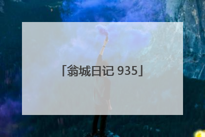 翁城日记 935
