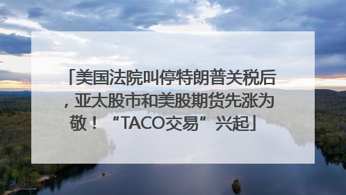 美国法院叫停特朗普关税后，亚太股市和美股期货先涨为敬！“TACO交易”兴起