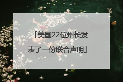 美国22位州长发表了一份联合声明
