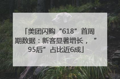 美团闪购“618”首周期数据：新客显著增长，“95后”占比近6成