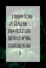 精神文明之花绽放，周村以高质量审计护航高质量发展
