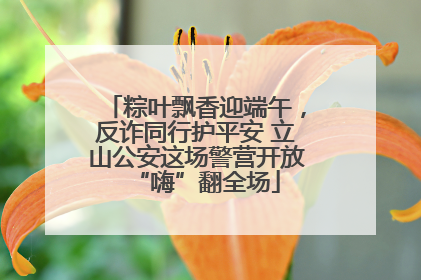 粽叶飘香迎端午，反诈同行护平安 立山公安这场警营开放“嗨”翻全场