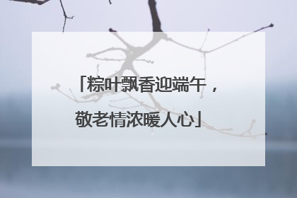 粽叶飘香迎端午，敬老情浓暖人心