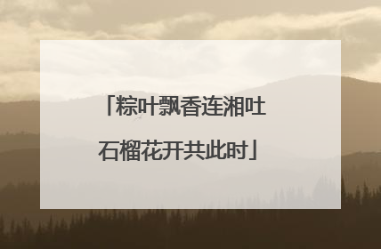 粽叶飘香连湘吐 石榴花开共此时