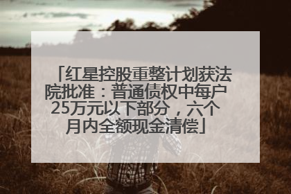 红星控股重整计划获法院批准：普通债权中每户25万元以下部分，六个月内全额现金清偿