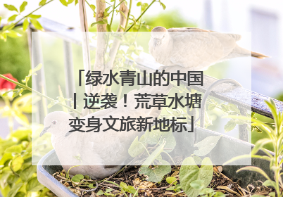 绿水青山的中国丨逆袭！荒草水塘变身文旅新地标