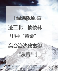 绿满陇原·奇迹三北｜梭梭林里种“黄金” 高台治沙致富很“从容”