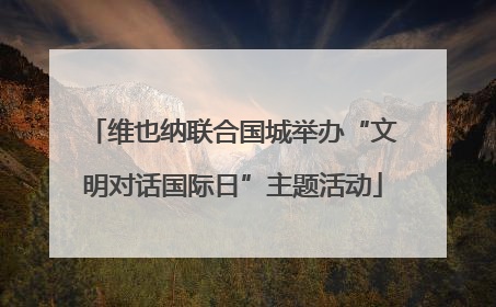 维也纳联合国城举办“文明对话国际日”主题活动