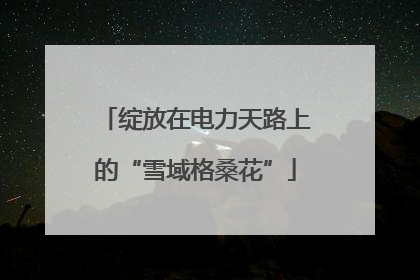 绽放在电力天路上的“雪域格桑花”