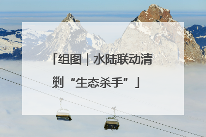 组图｜水陆联动清剿“生态杀手”
