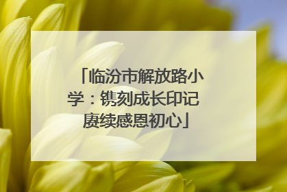 临汾市解放路小学：镌刻成长印记 赓续感恩初心