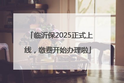 临沂保2025正式上线，缴费开始办理啦