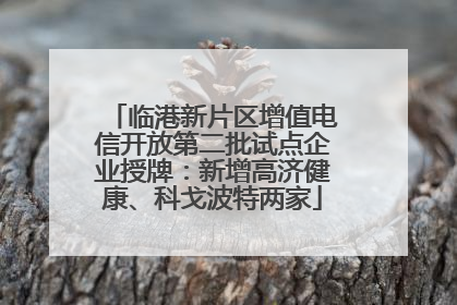 临港新片区增值电信开放第二批试点企业授牌：新增高济健康、科戈波特两家