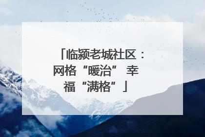 临颍老城社区：网格“暖治” 幸福“满格”