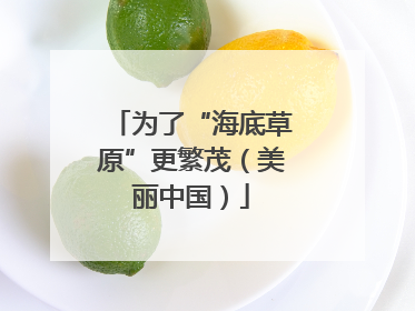 为了“海底草原”更繁茂（美丽中国）