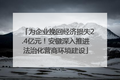 为企业挽回经济损失2.4亿元！安徽深入推进法治化营商环境建设