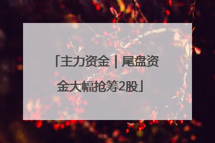 主力资金｜尾盘资金大幅抢筹2股