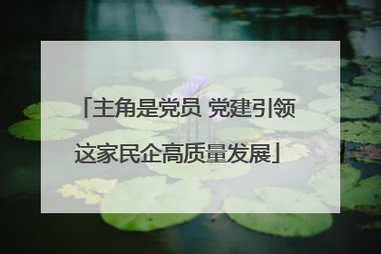 主角是党员 党建引领这家民企高质量发展