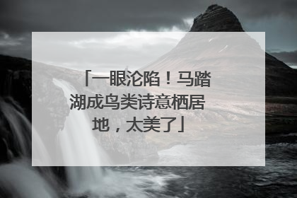 一眼沦陷！马踏湖成鸟类诗意栖居地，太美了