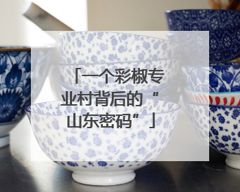 一个彩椒专业村背后的“山东密码”