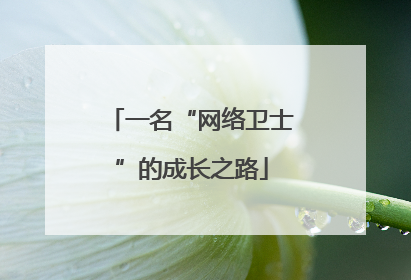 一名“网络卫士”的成长之路