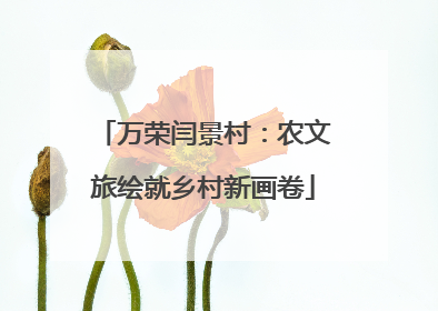 万荣闫景村：农文旅绘就乡村新画卷