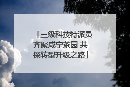 三级科技特派员齐聚咸宁茶园 共探转型升级之路