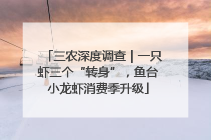 三农深度调查｜一只虾三个“转身”，鱼台小龙虾消费季升级
