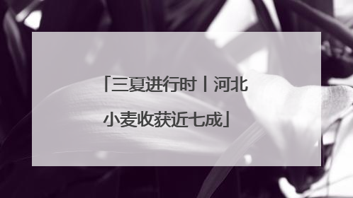 三夏进行时丨河北小麦收获近七成