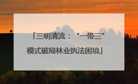 三明清流：“一带三”模式破局林业执法困境