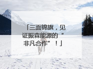 三面锦旗，见证振森能源的“非凡合作”！