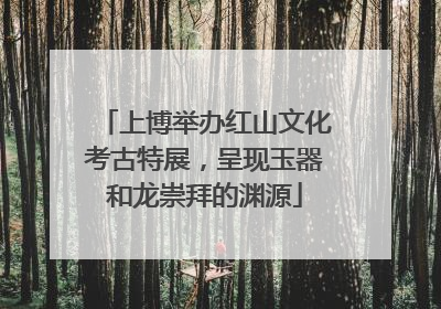 上博举办红山文化考古特展，呈现玉器和龙崇拜的渊源