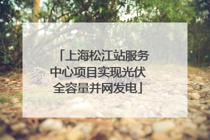 上海松江站服务中心项目实现光伏全容量并网发电