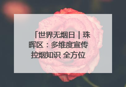 世界无烟日｜珠晖区：多维度宣传控烟知识 全方位共筑健康防线