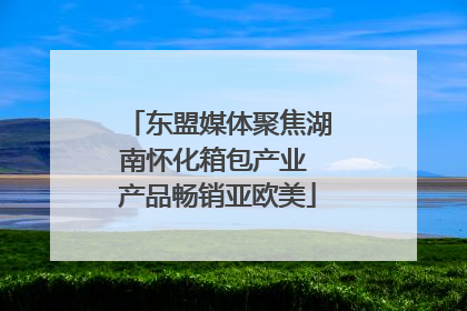 东盟媒体聚焦湖南怀化箱包产业 产品畅销亚欧美
