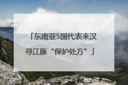 东南亚5国代表来汉寻江豚“保护处方”