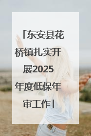 东安县花桥镇扎实开展2025年度低保年审工作