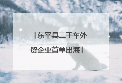 东平县二手车外贸企业首单出海