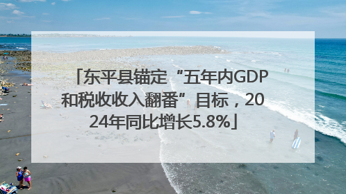 东平县锚定“五年内GDP和税收收入翻番”目标，2024年同比增长5.8%
