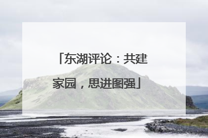 东湖评论：共建家园，思进图强