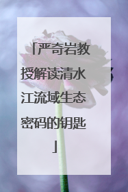 严奇岩教授解读清水江流域生态密码的钥匙
