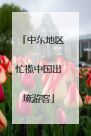 中东地区忙揽中国出境游客