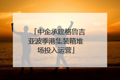 中企承建格鲁吉亚波季港集装箱堆场投入运营