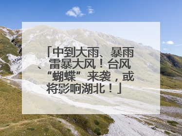 中到大雨、暴雨、雷暴大风！台风“蝴蝶”来袭，或将影响湖北！