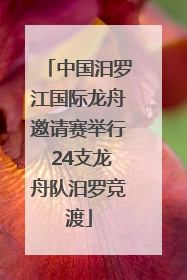 中国汨罗江国际龙舟邀请赛举行 24支龙舟队汨罗竞渡