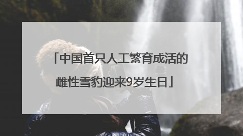 中国首只人工繁育成活的雌性雪豹迎来9岁生日