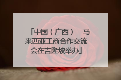 中国（广西）—马来西亚工商合作交流会在吉隆坡举办