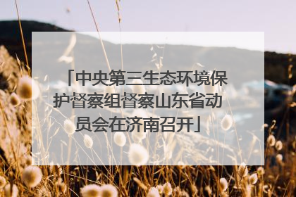 中央第三生态环境保护督察组督察山东省动员会在济南召开
