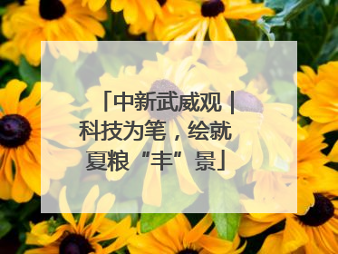 中新武威观｜科技为笔，绘就夏粮“丰”景